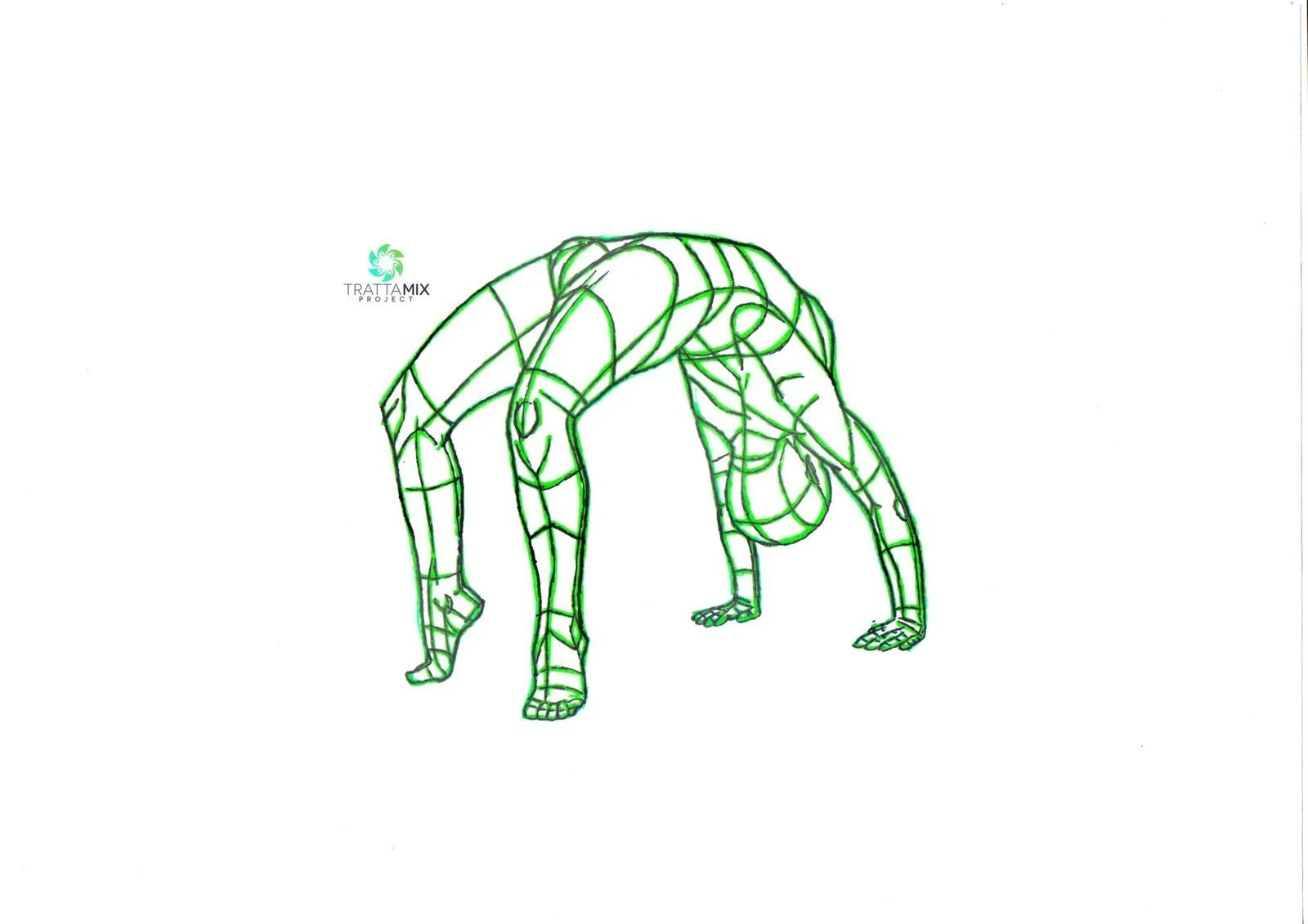Yoga Udine – TERAPEUTICO in piccoli gruppi – TrattaMIX